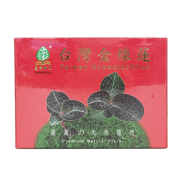 埔里鎮農會-金線蓮茶10包入.png